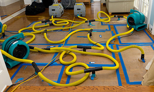 Professional Basement Flood Cleanup technician working in McKees Rocks, PA